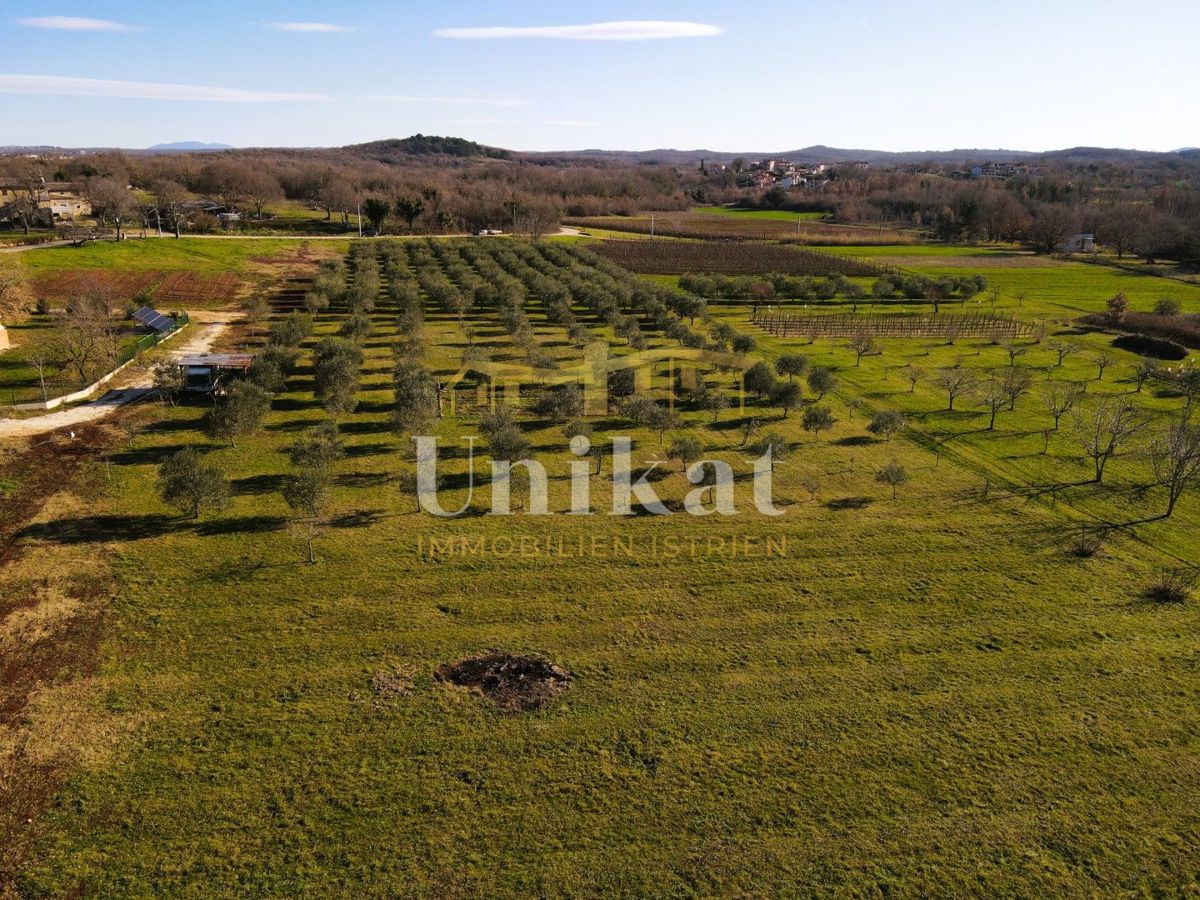 Ampio terreno edificabile a 8 km da Poreč